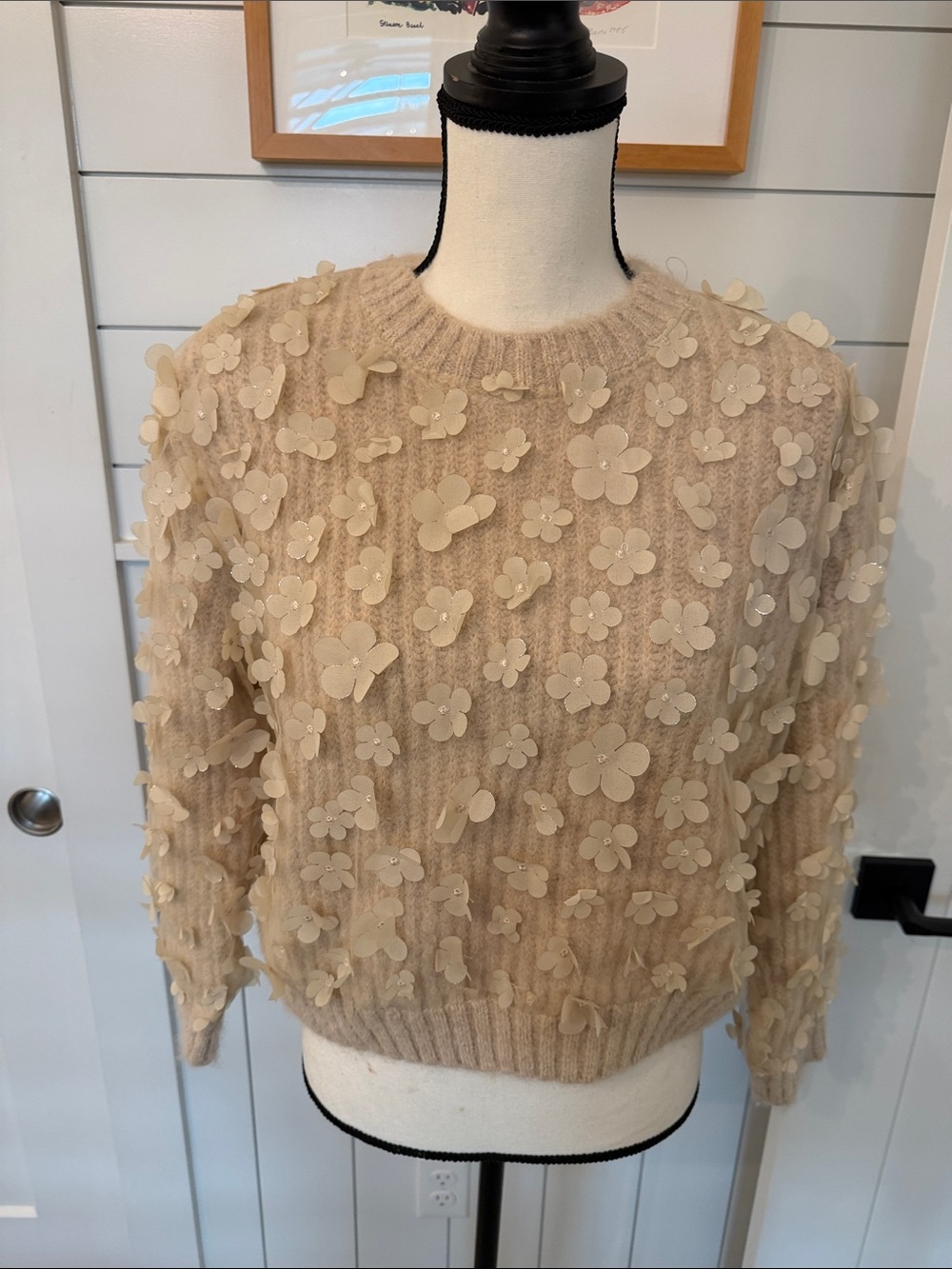 Zara Floral Appliqué Crewneck Sweater - Cream
